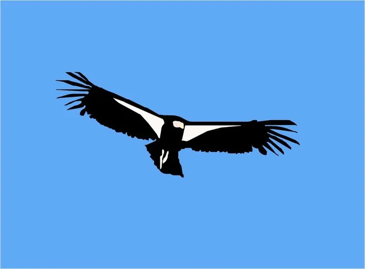 Air_Condor_One_by_TarryAGoat.jpg