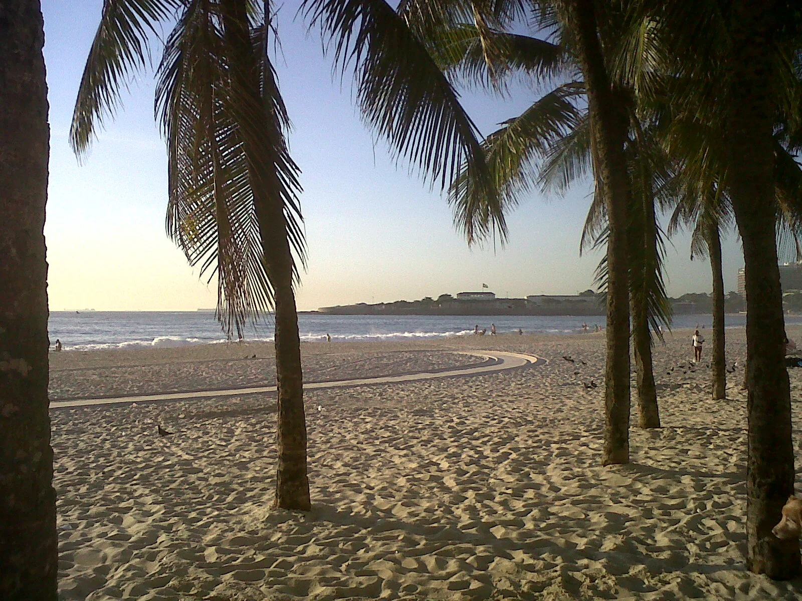 328-fev.10.2011010.jpg