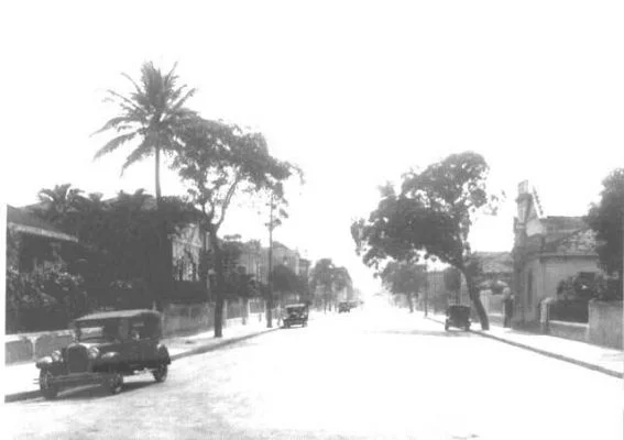 barataribeiro.jpg