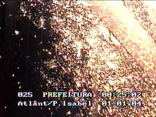 590-250024.jpg