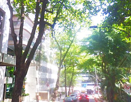 Rua Professor Azevedo Marques
