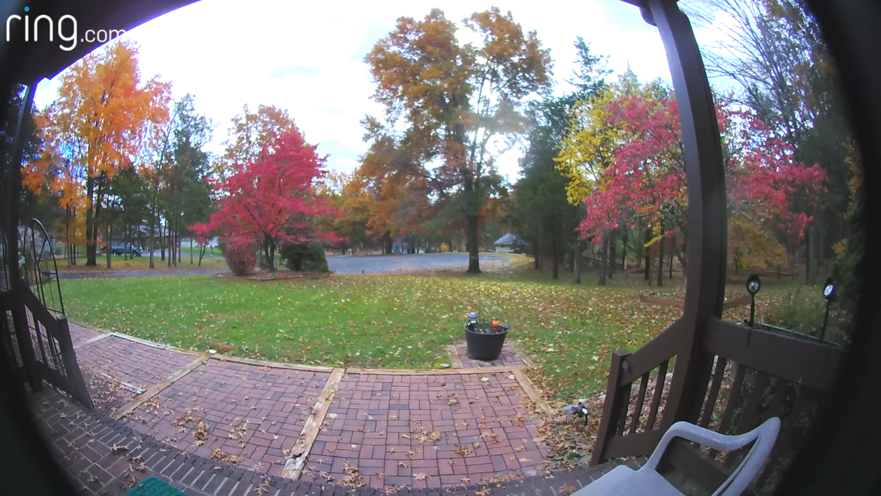 Doorbell View