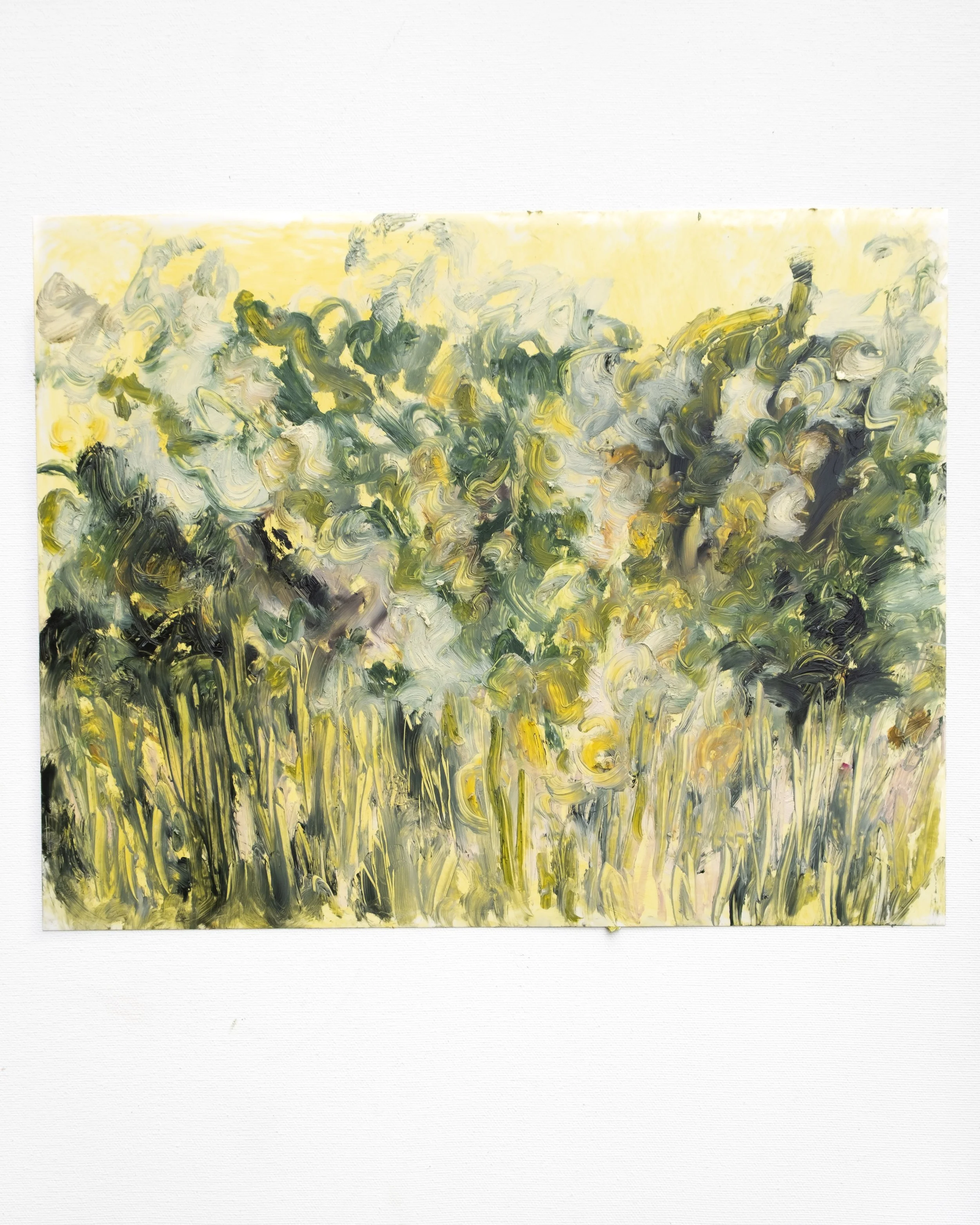 Days in Yellow (2025)