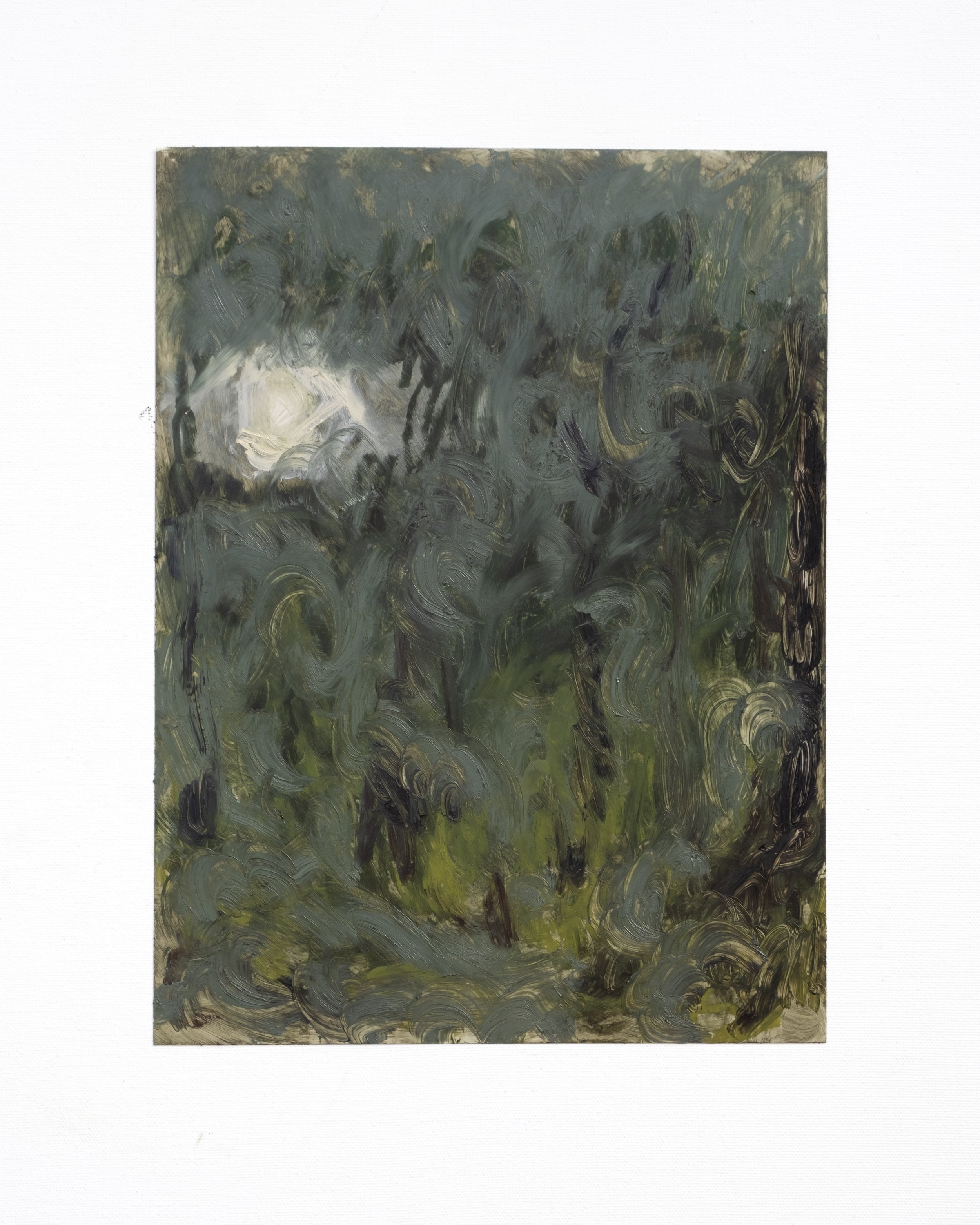 Tendrils from the Sky (2025)