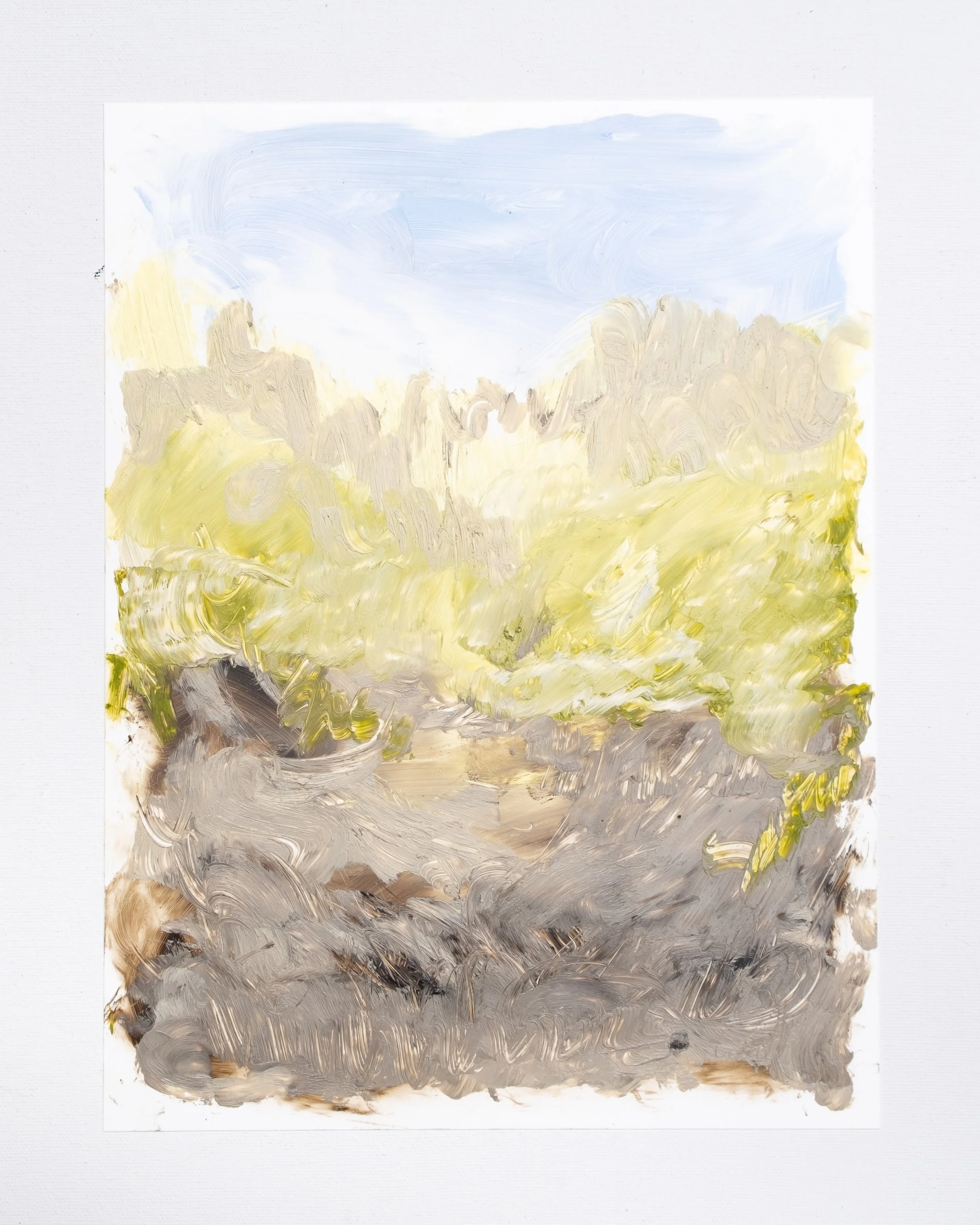   Golden Glow  Oil stick on yupo 12 x 9 inches  Available from  the studio  