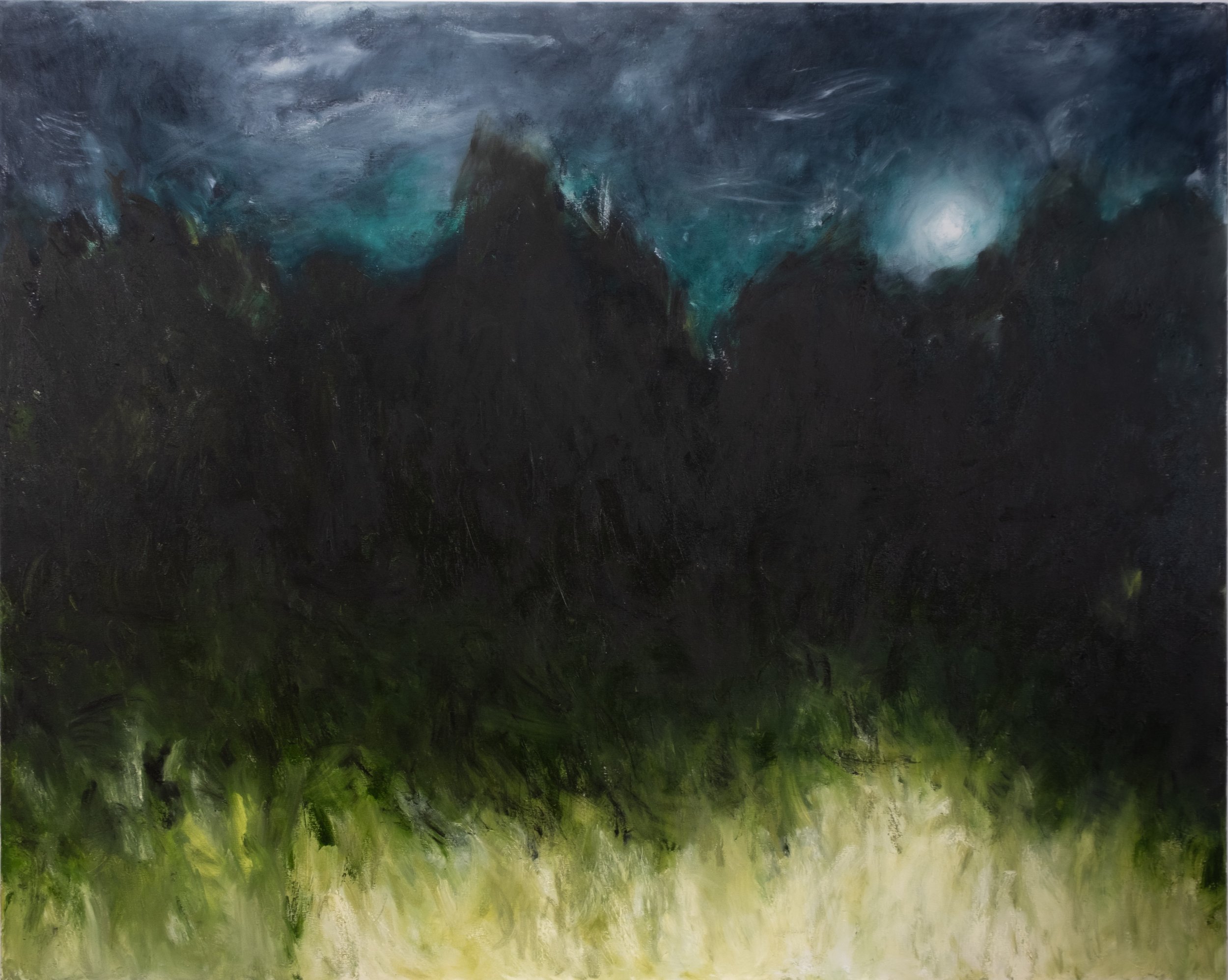   20 minutes for your eyes to adjust  Oil stick on canvas 48 x 60 inches  Available from the studio 