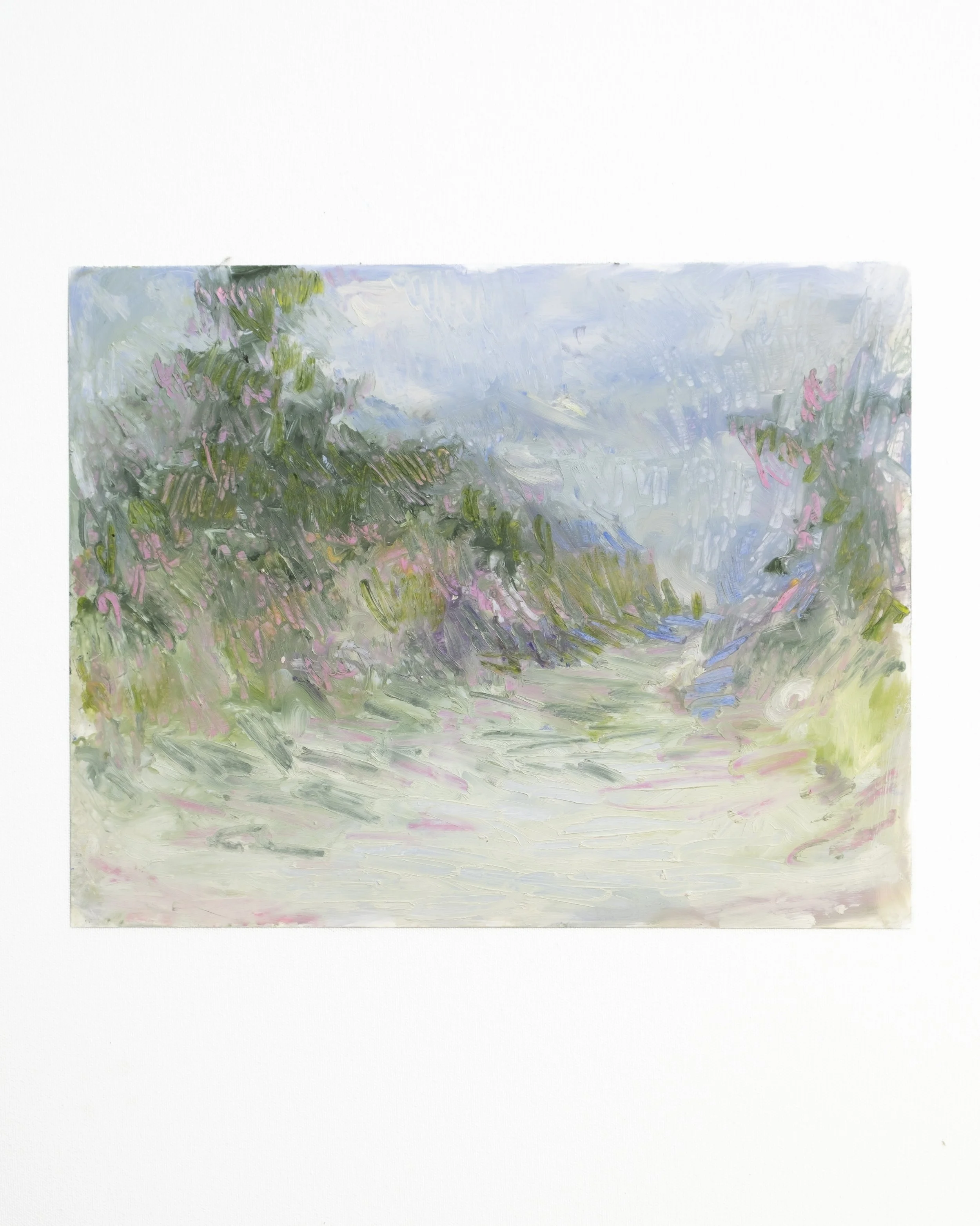   White Pine Passage  Oil stick on yupo 11 x 14 inches Available direct from the studio 