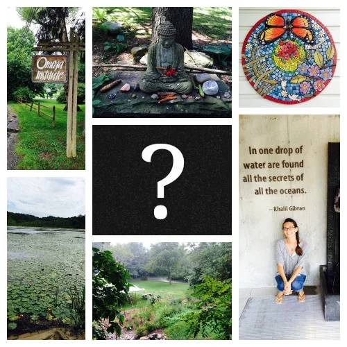 My trip to Omega institute- full of synchronicity!