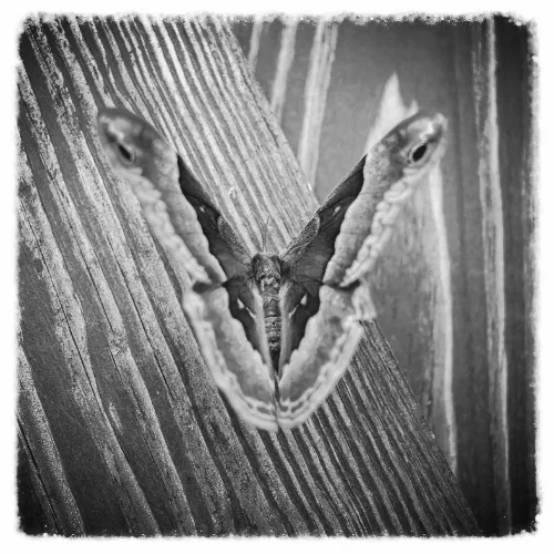 How to Quickly Gain Peace and Perspective when you're Stuck (in business or life)