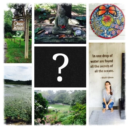 Synchronicity and My Celebrity Sighting