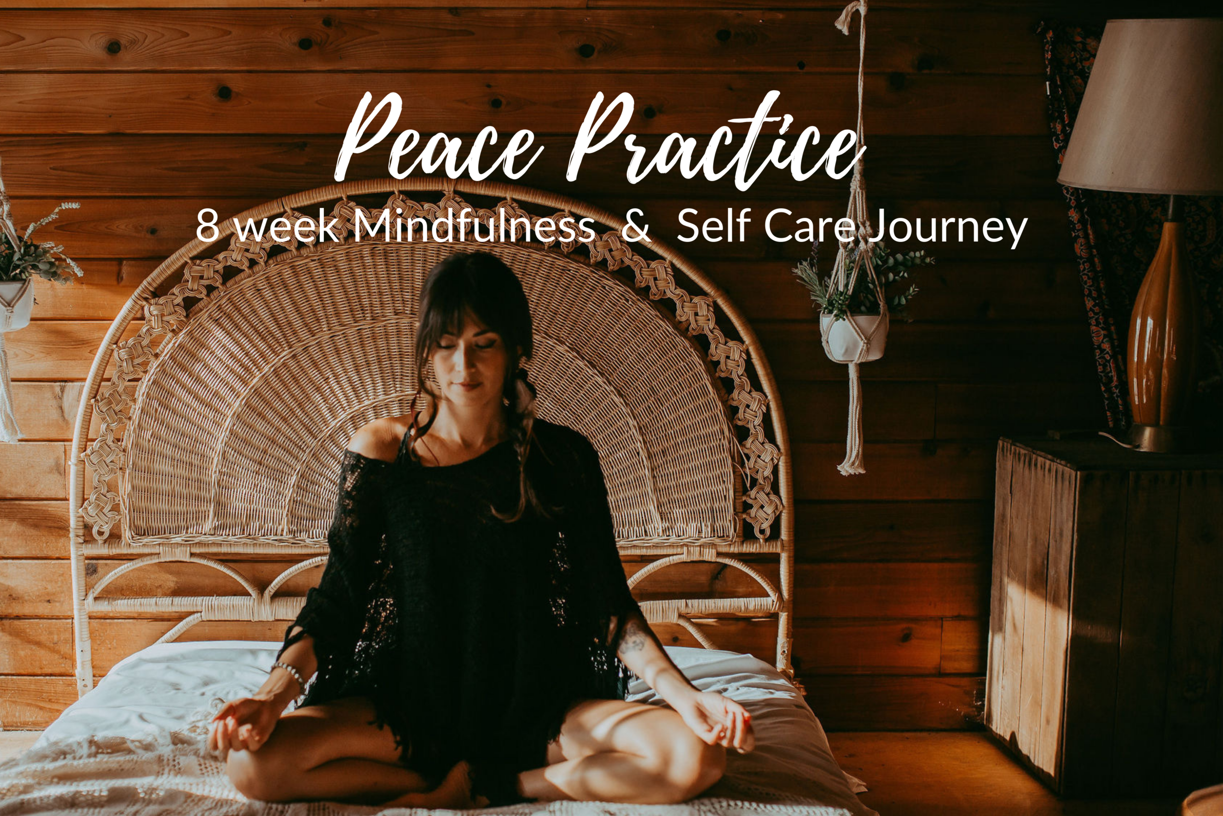 Copy of Peace Practice Program.png