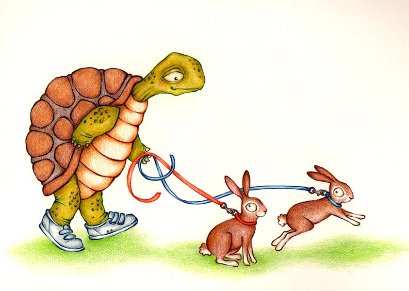 tortoise and the hares