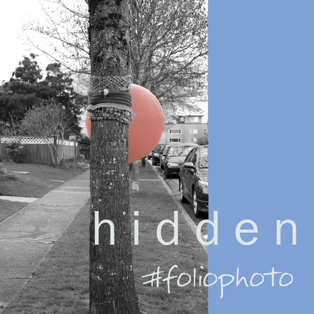 foliophoto-hidden.jpg