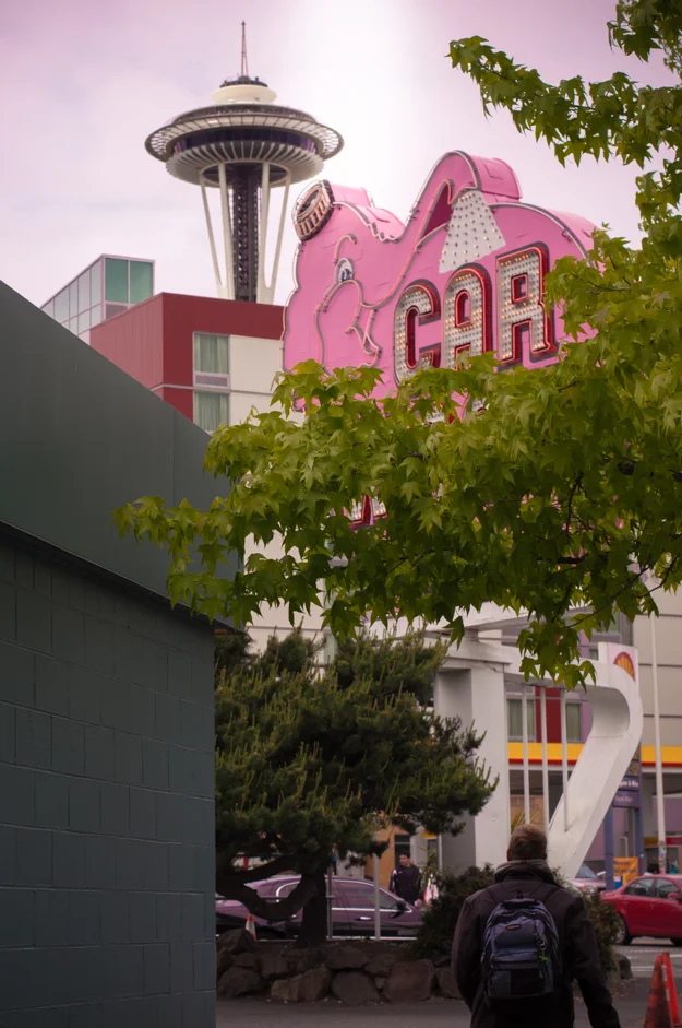 Elephant Car Wash Seattle