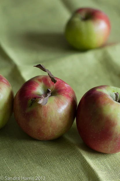 apples-2.jpg
