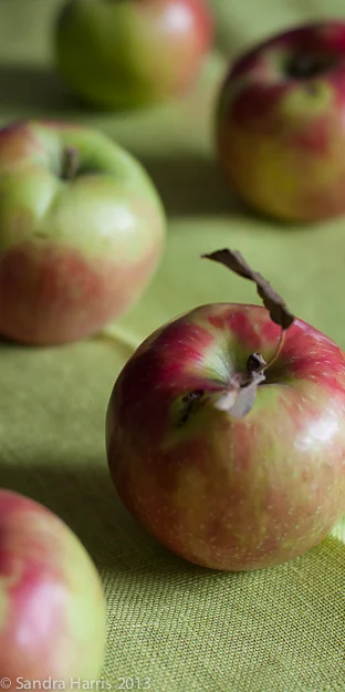 apples-3.jpg