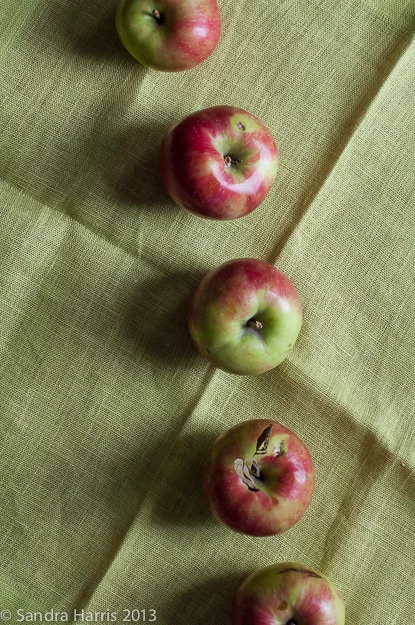 apples graphic autumn fall linen green - Sandra Harris