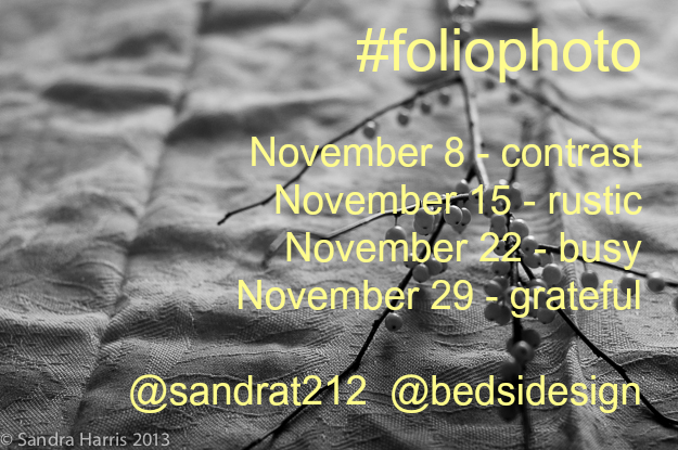 foliophoto photography instagram creativity community