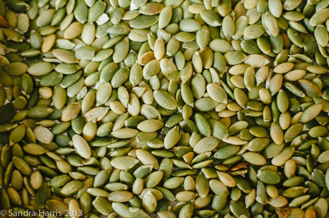 toasted pumpkin seeds - Sandra Harris