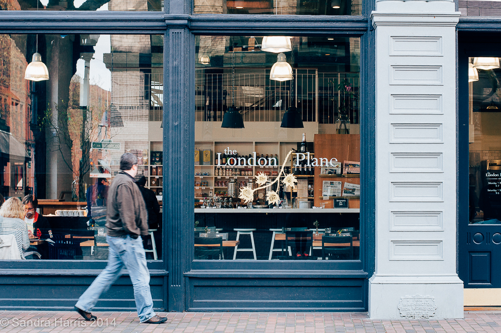 The London Plane, Seattle
