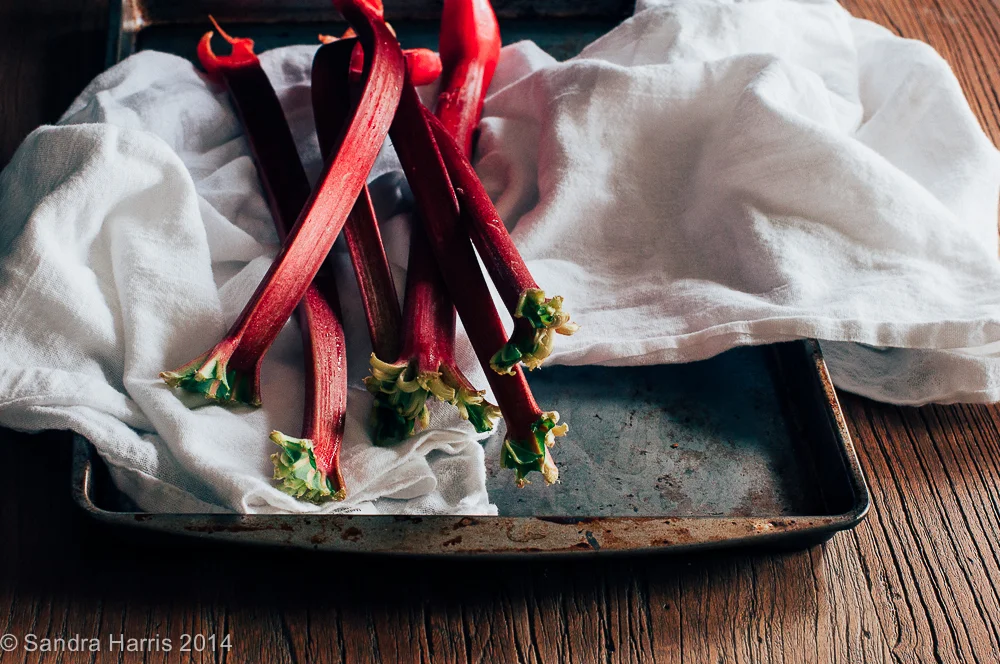 fresh rhubarb from the farmer's market - Sandra Harris