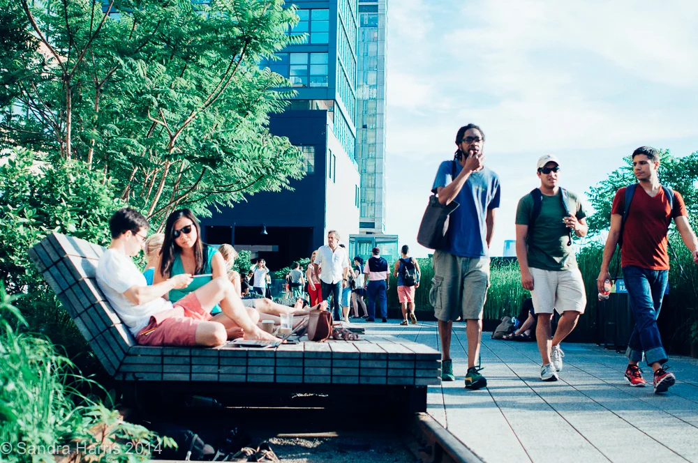 Highline Park, NYC - Sandra Harris