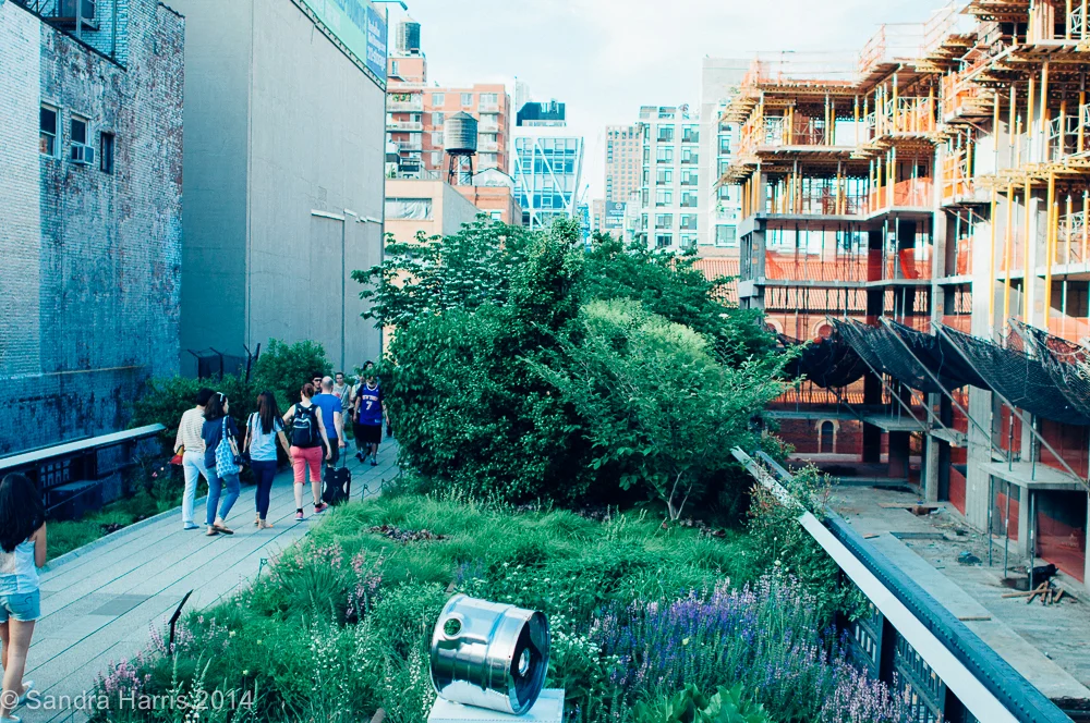 Highline Park, NYC - Sandra Harris