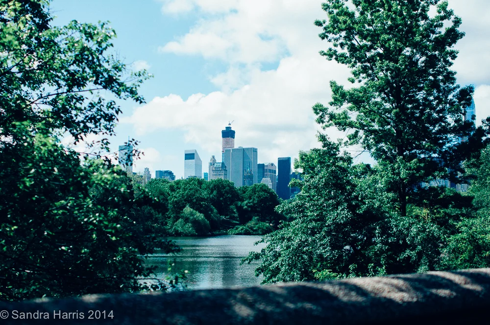 Central Park, NYC - Sandra Harris