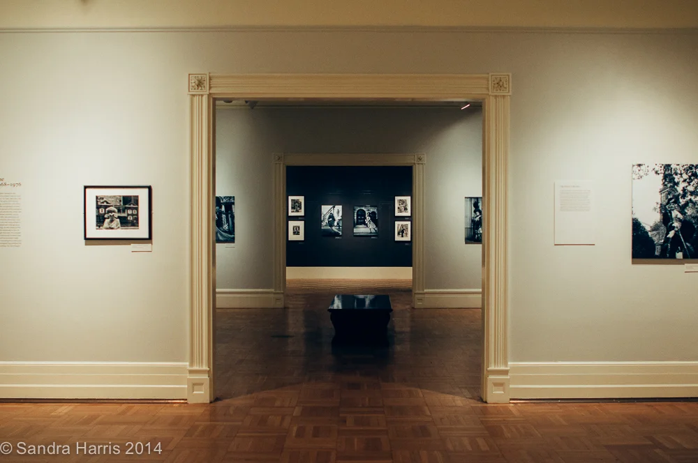 New York Historical Society, Bill Cunningham Exhibit 