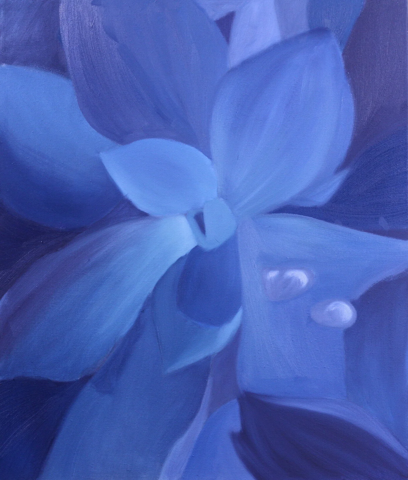 "Blue Succulent"