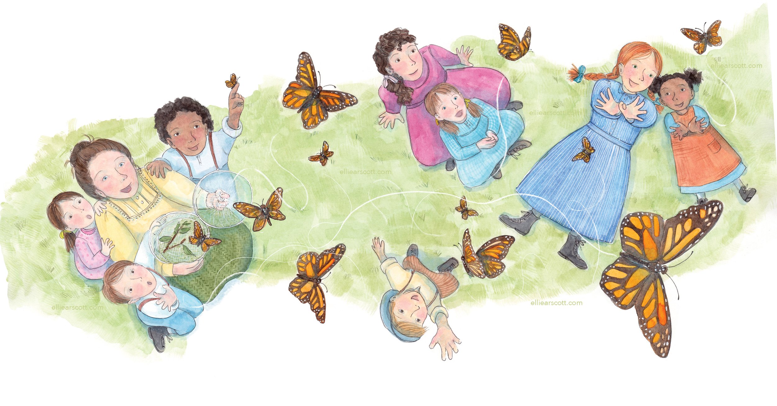 butterflies a is for anne