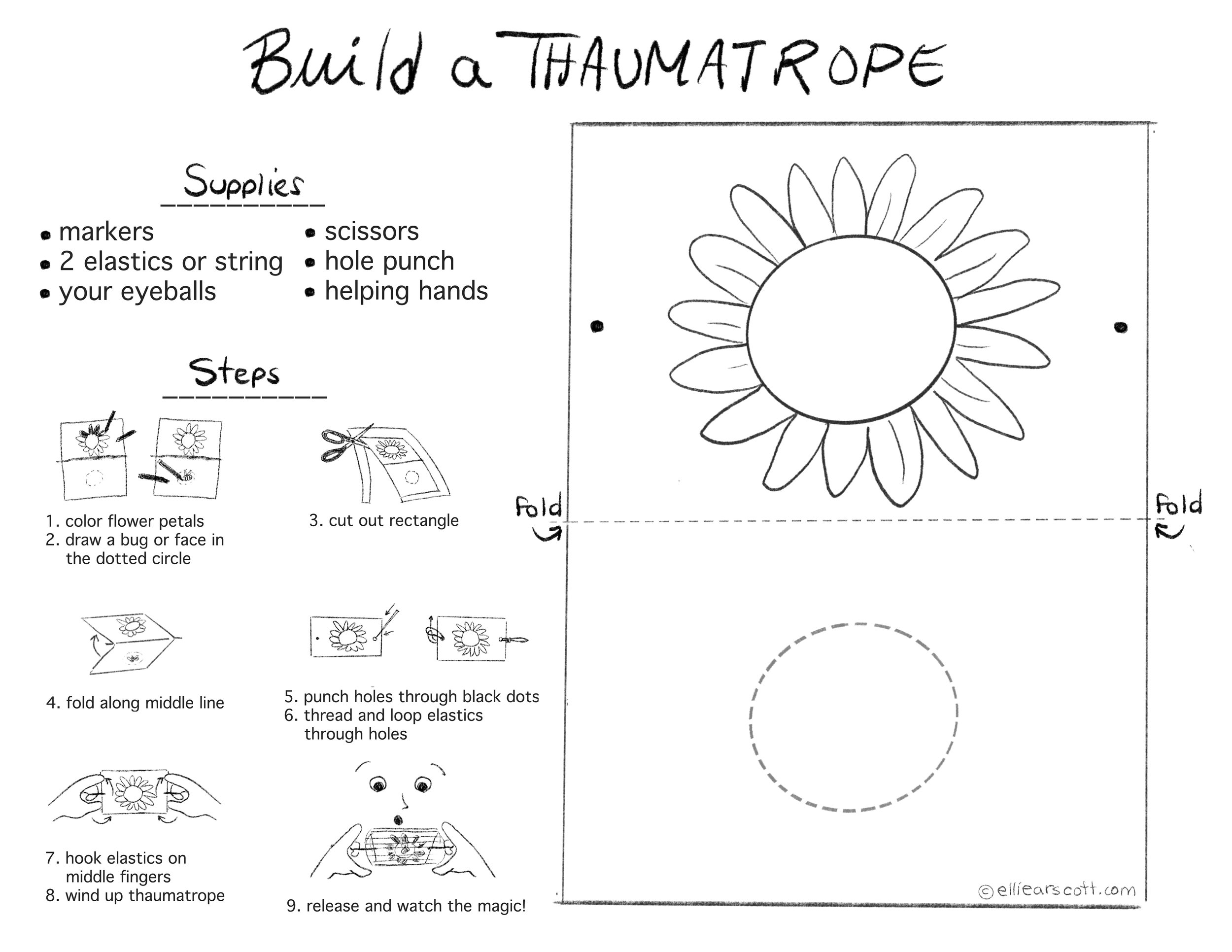Thaumatrope template