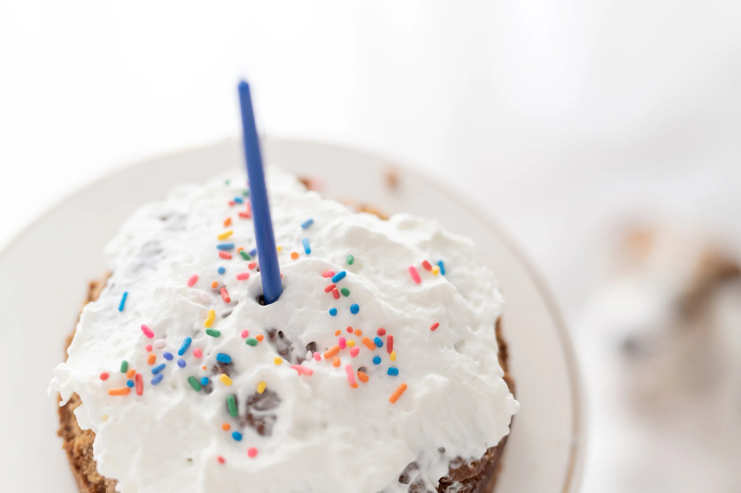 Bosco Pup | Rachel Ezzo Portraits, Puppy First Birthday Cake Smash Session, Baton Rouge LA photographer 