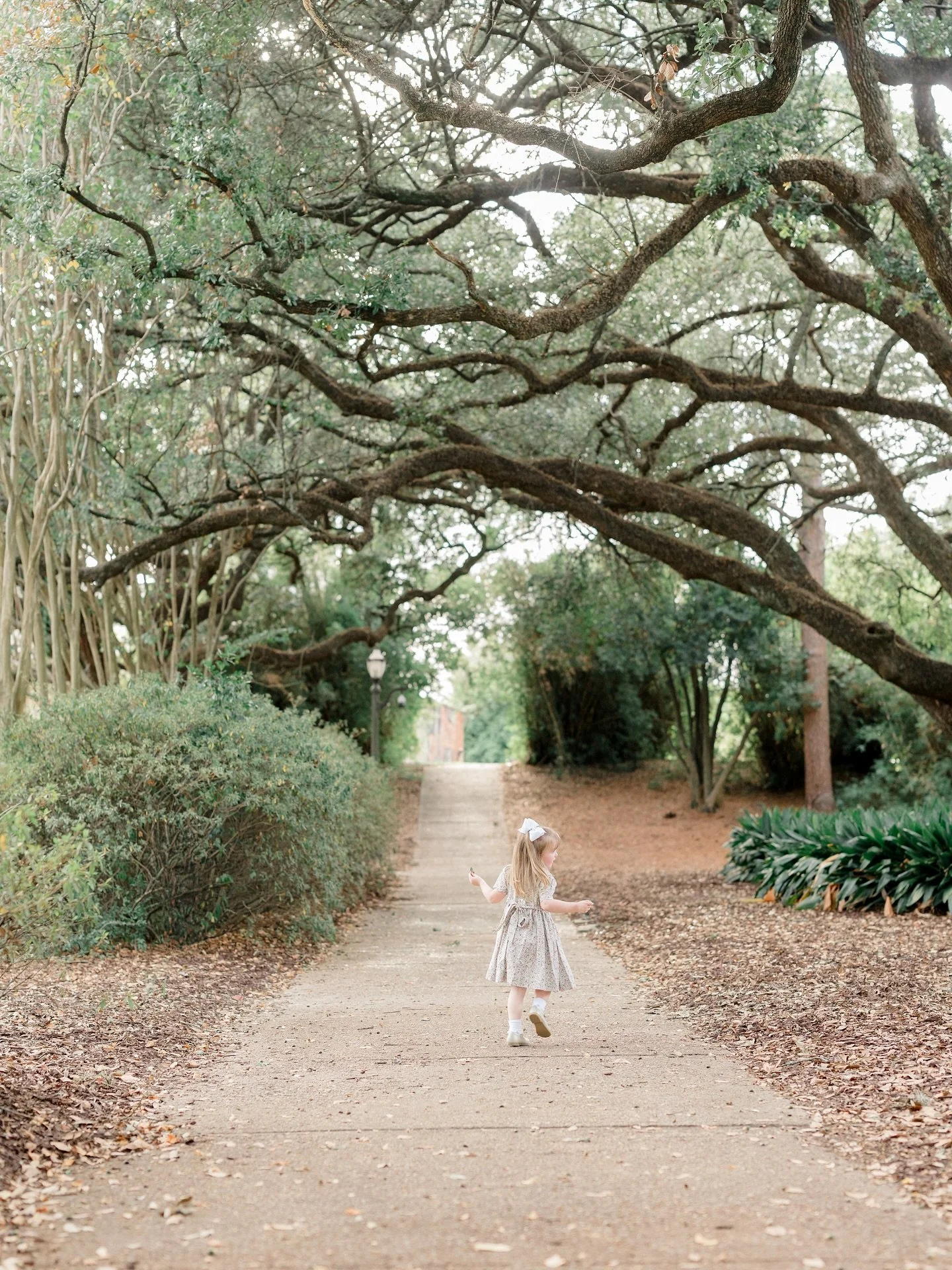 She was happy to skip along and collect little treasures ✨ This is the magic of being 4! 🍂🍁🍃 Baton Rouge family photographer, Baton Rouge family photography, Baton Rouge children&rsquo;s photographer, Baton Rouge Fine Art photographer.
