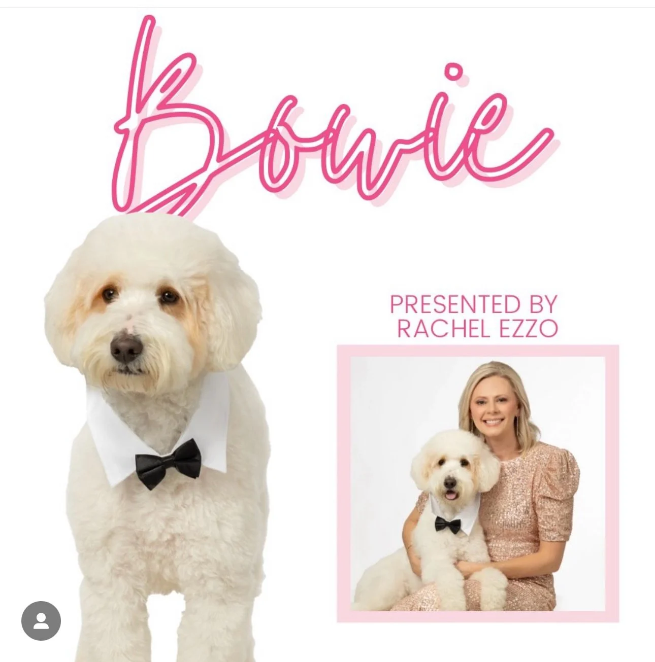 It&rsquo;s official! Bowie and I are on the Furball court this year, helping to raise awareness about all the work that @caapets does! They are the biggest open intake animal shelter in East Baton Rouge. They run completely on donations to help all t