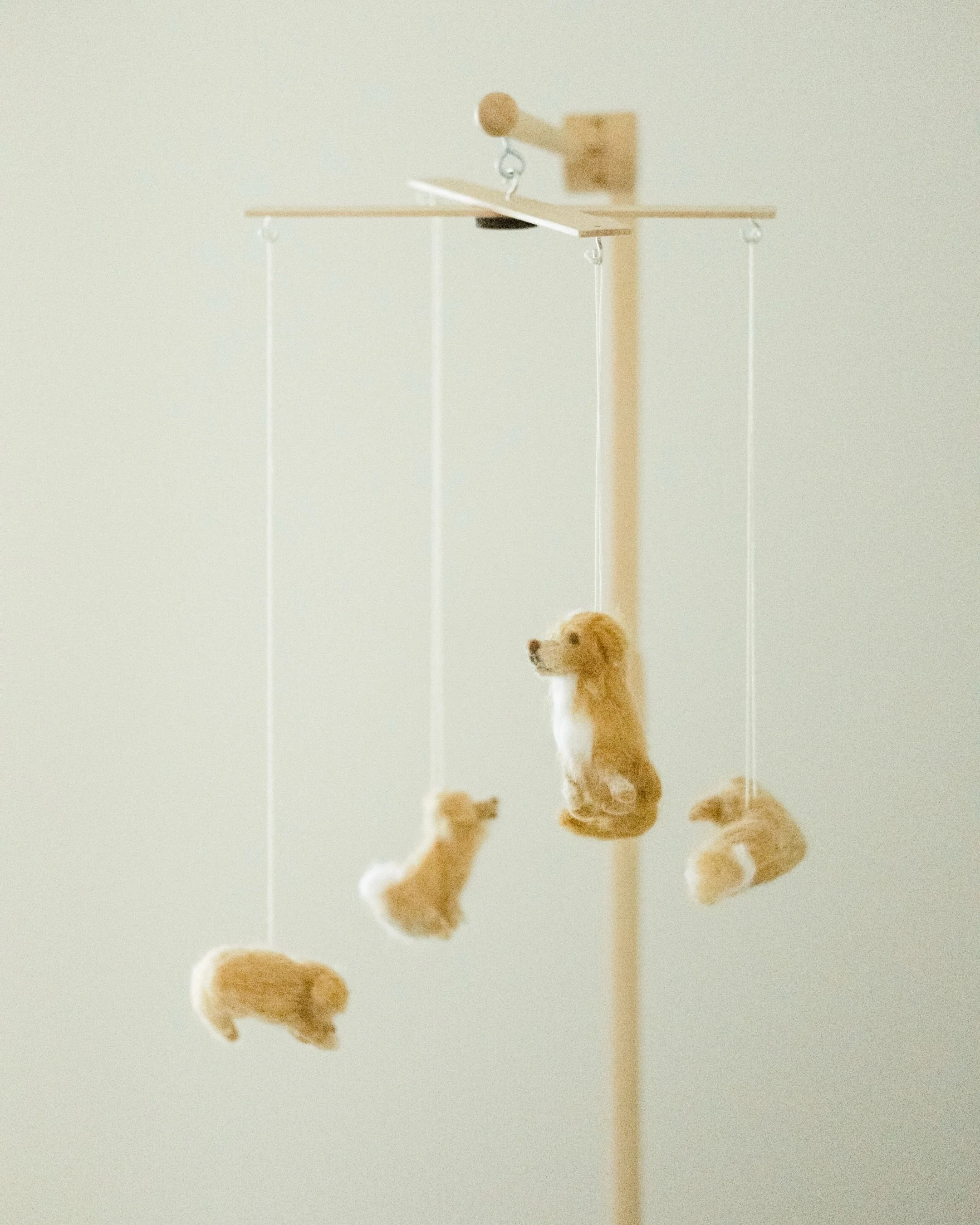 A doggy themed nursery?! Did they call the right photographer or what?! 🐾 Loved it, they are the cutest little family of 4 now. So happy for them!!❤️🐶 Baton Rouge newborn photographer, Baton Rouge newborn Photography, Baton Rouge family lifestyle s