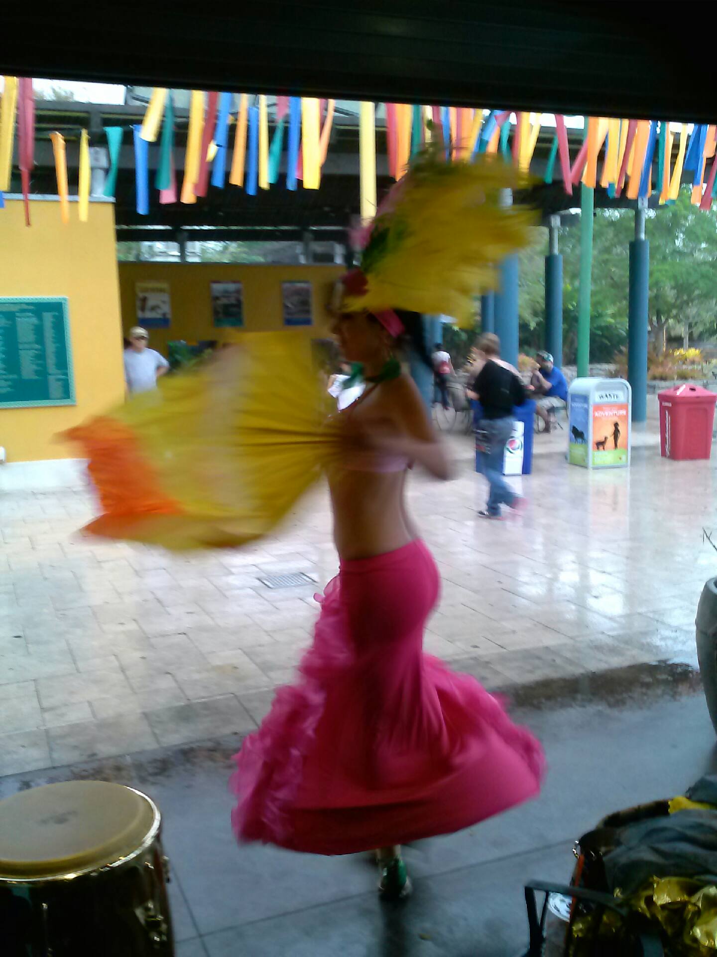 samba dancers brazillian dancers south florida