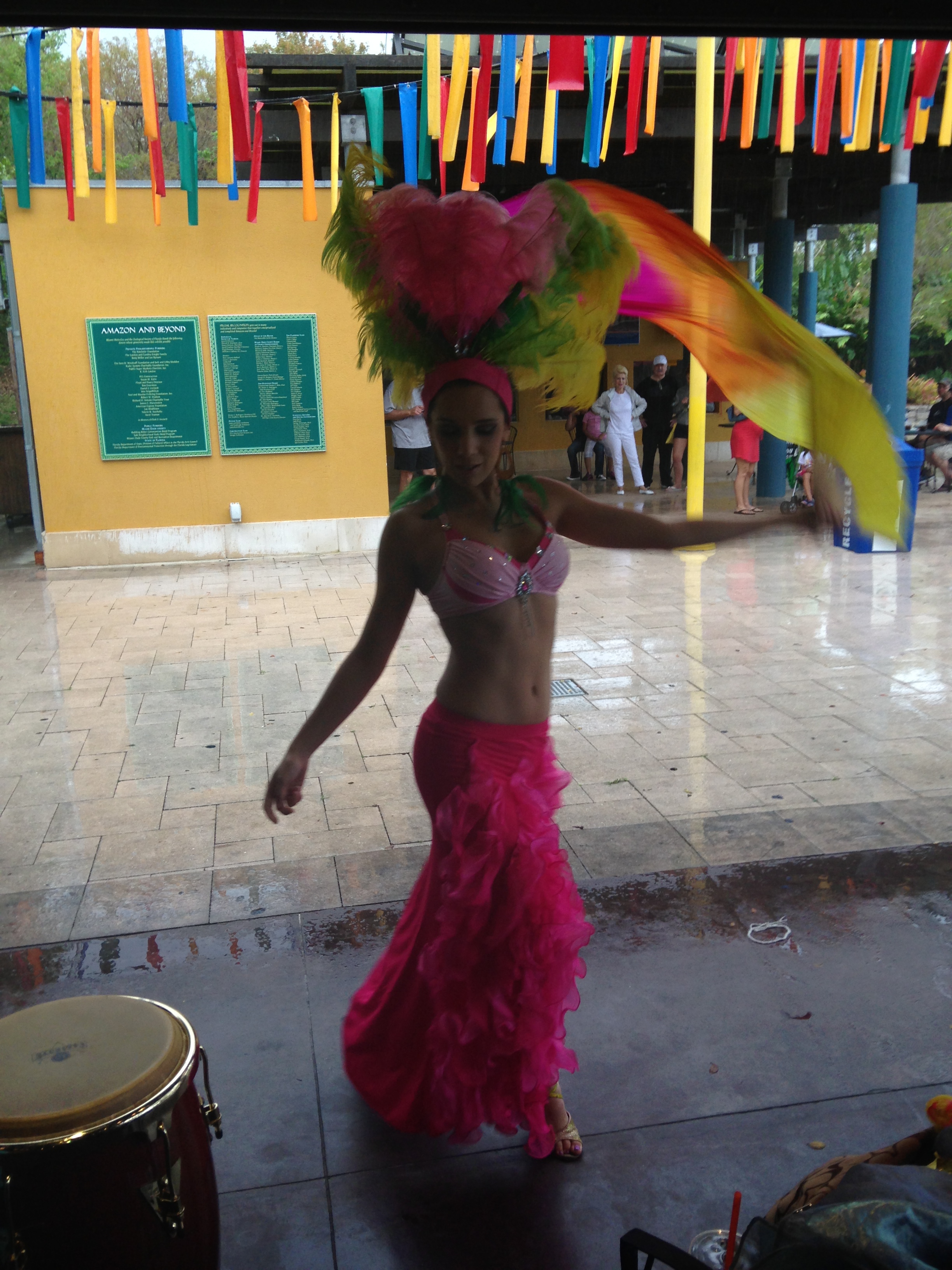 samba brazilian amaozonia dancer west palm beach zoo miami south beach