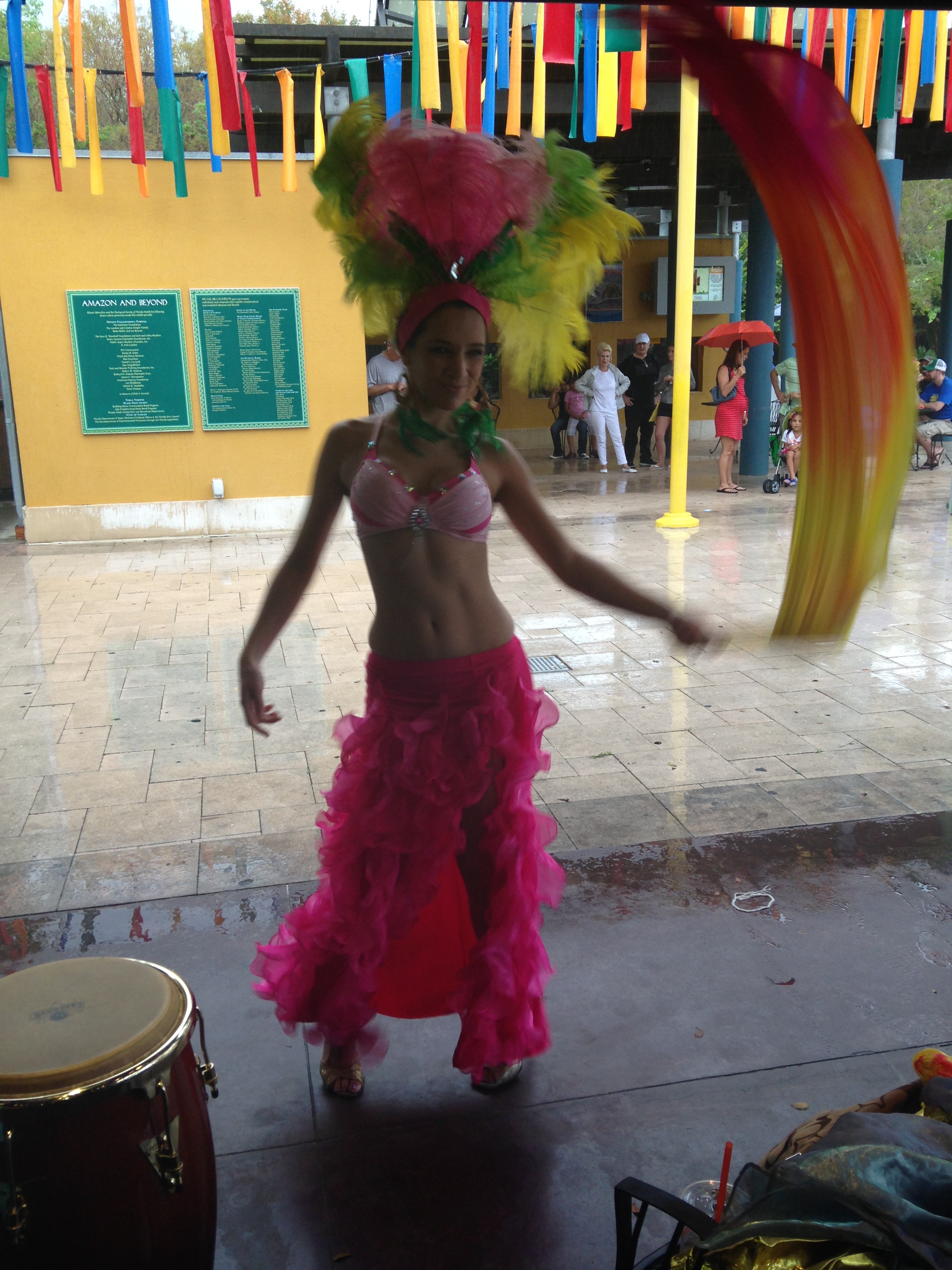 samba dance zoo miami