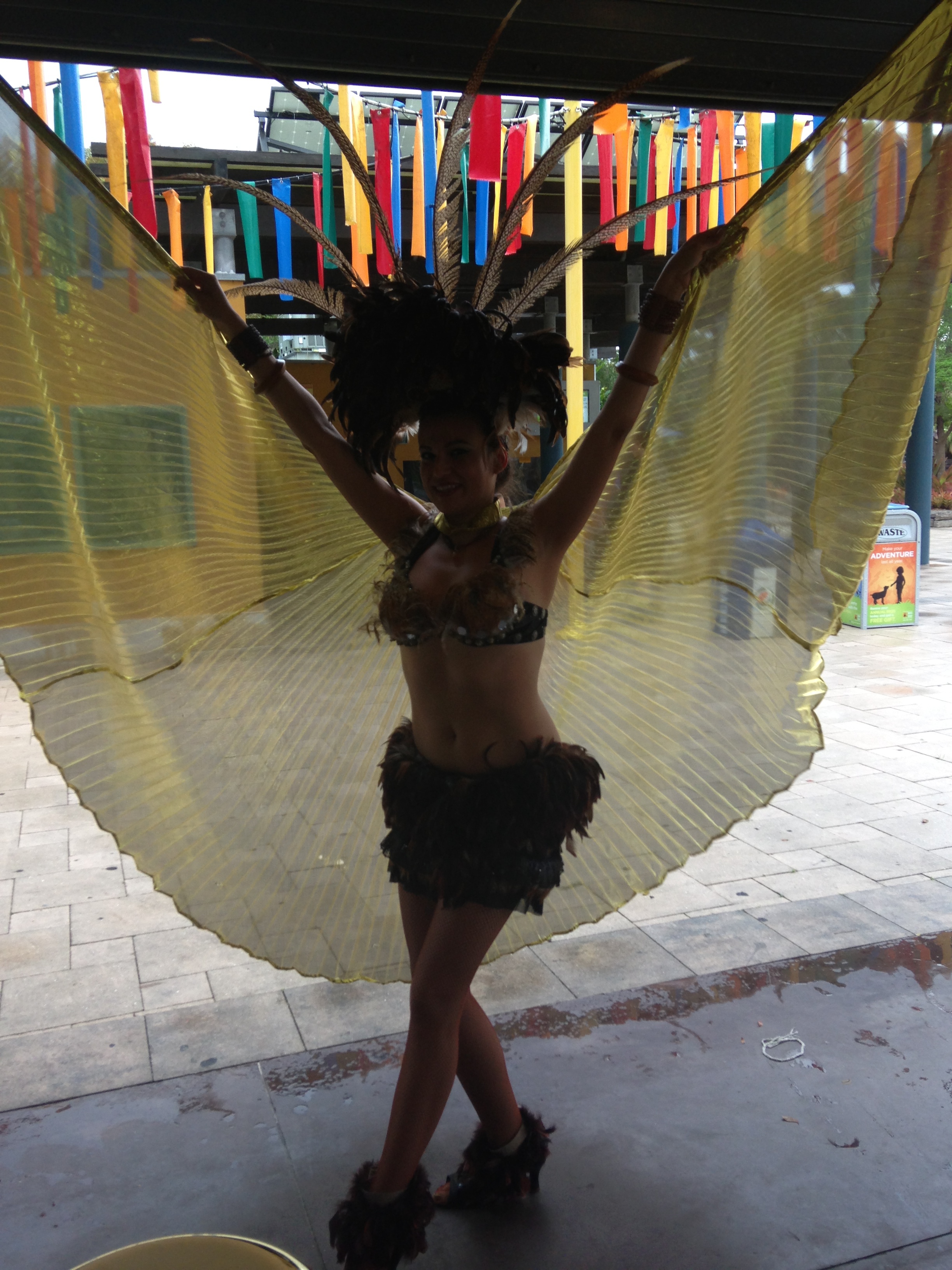 samba dancer boca raton lake worth boynton beach delray beach