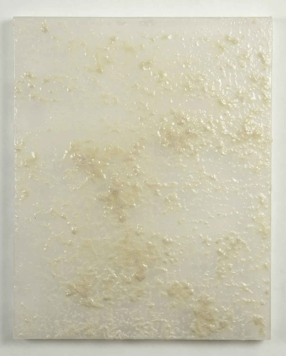 flour 2011 mixed media on plexiglass 20 X 16 X 1.5 inches