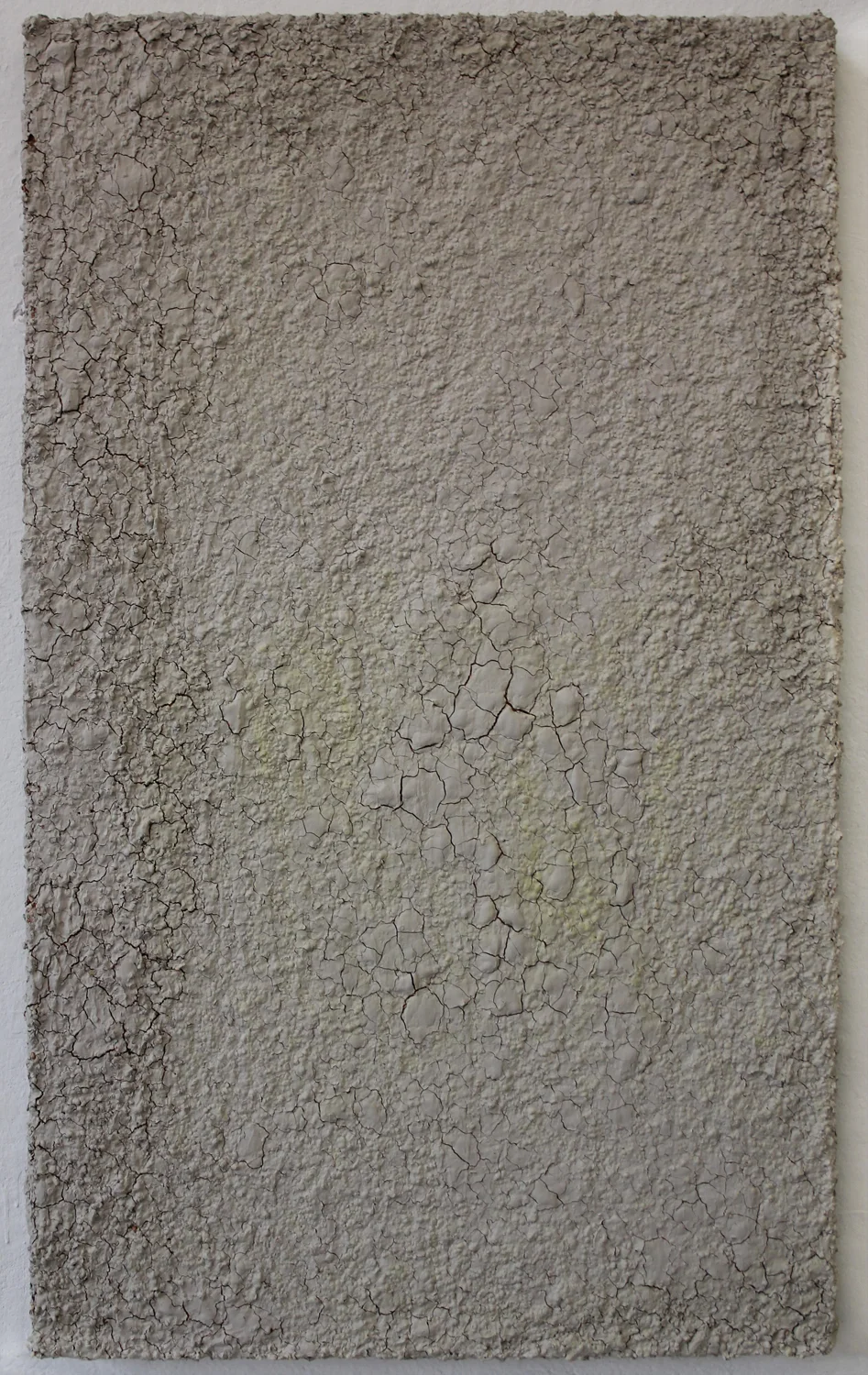lentils 2011 mixed media on wood 60 X 36 X 2.5 inches