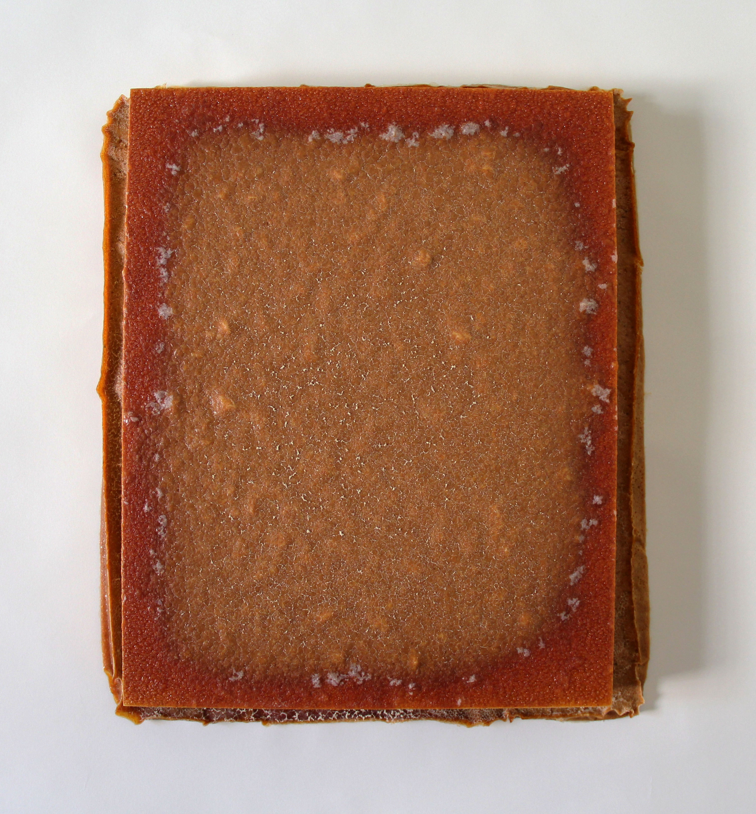 crystallization series1 2014 salt, paprika, acrylic on wood 15 x 12.5 x 2 inches
