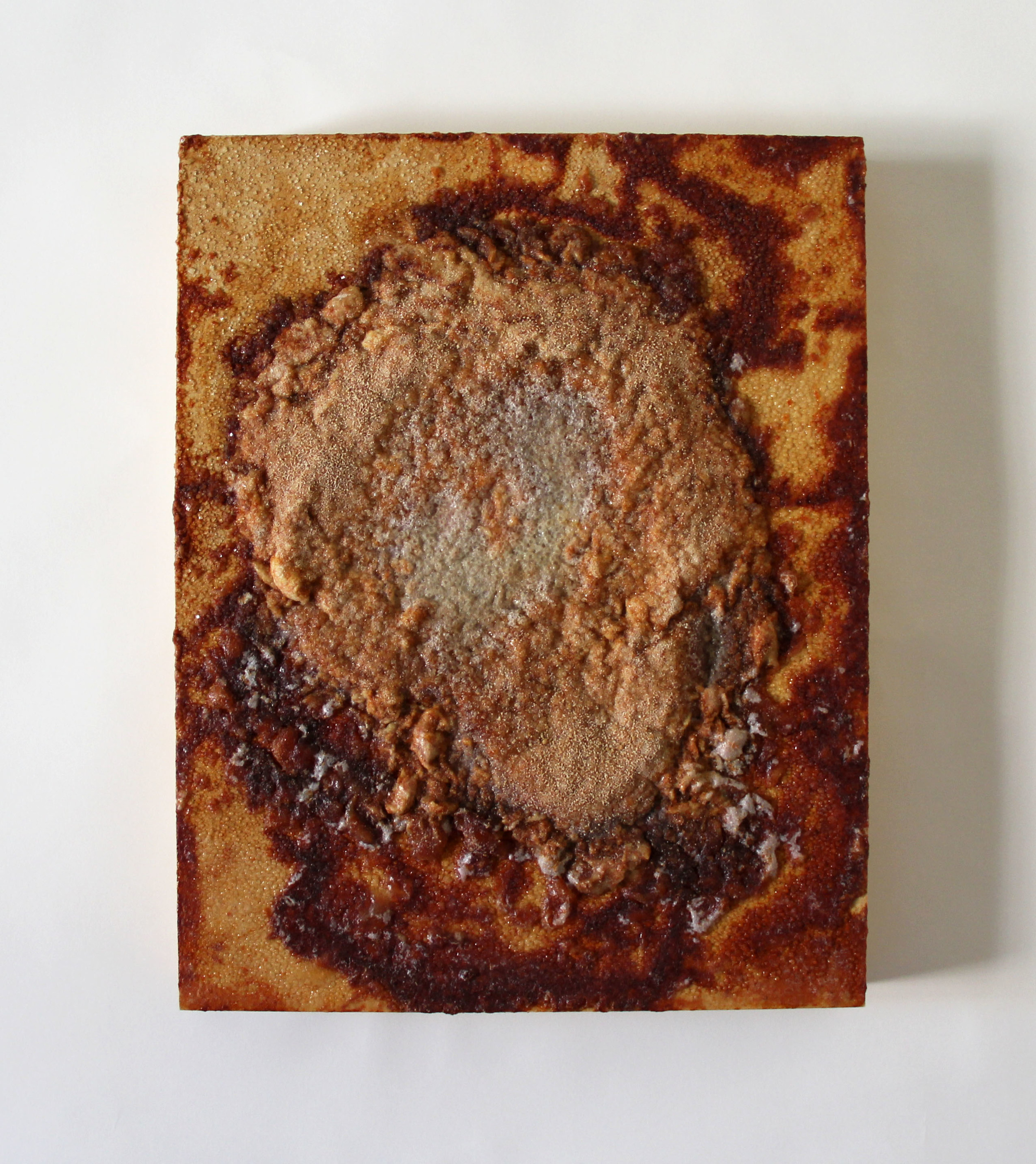 crystallization series2 2014 salt, paprika, acrylic on wood 14 x 11 x 1.75 inches