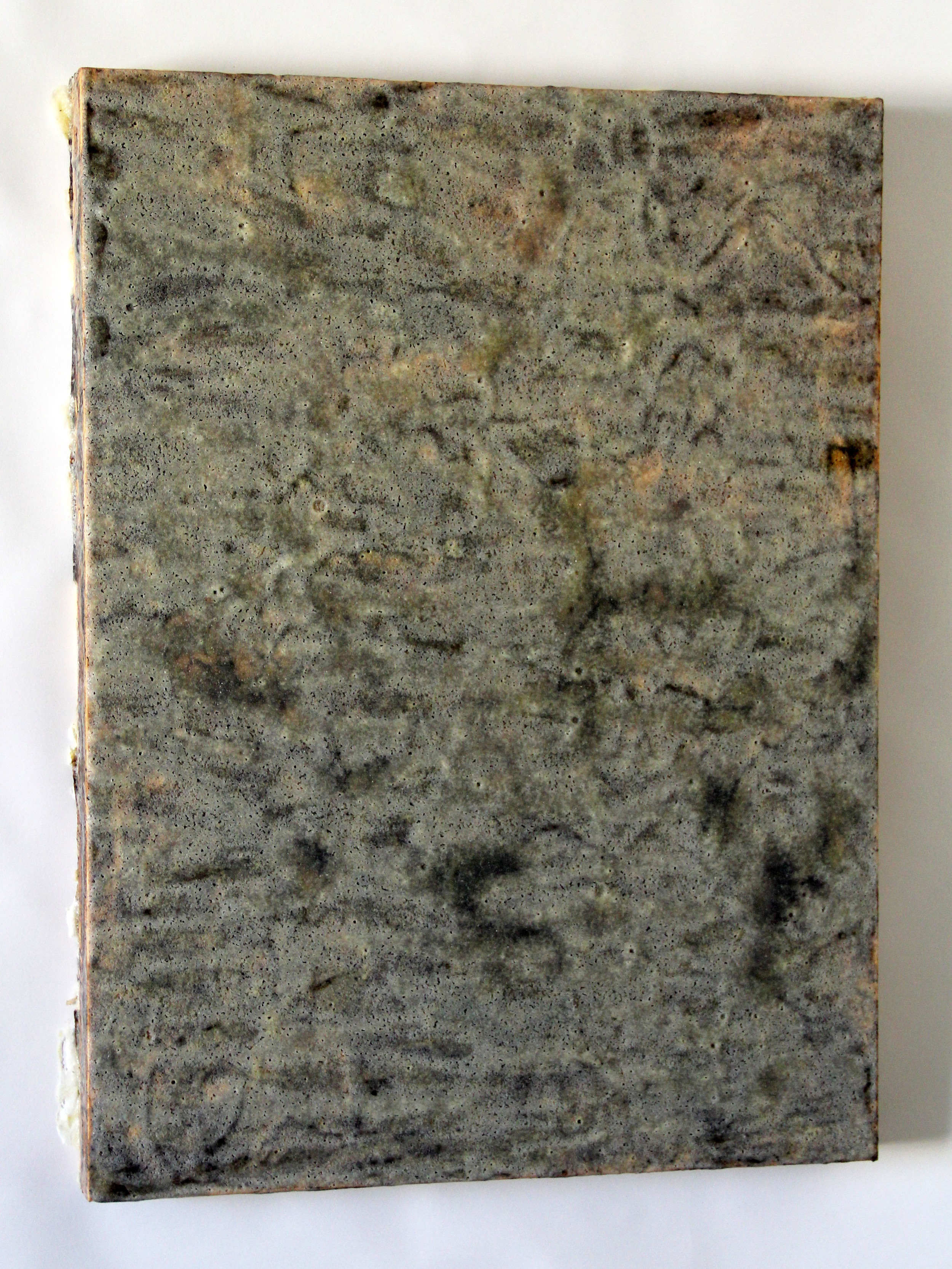 crystallization series3 2014 salt, borax, yellow dock, turmeric, acrylic on wood 24 x 18 x 1.5 inches
