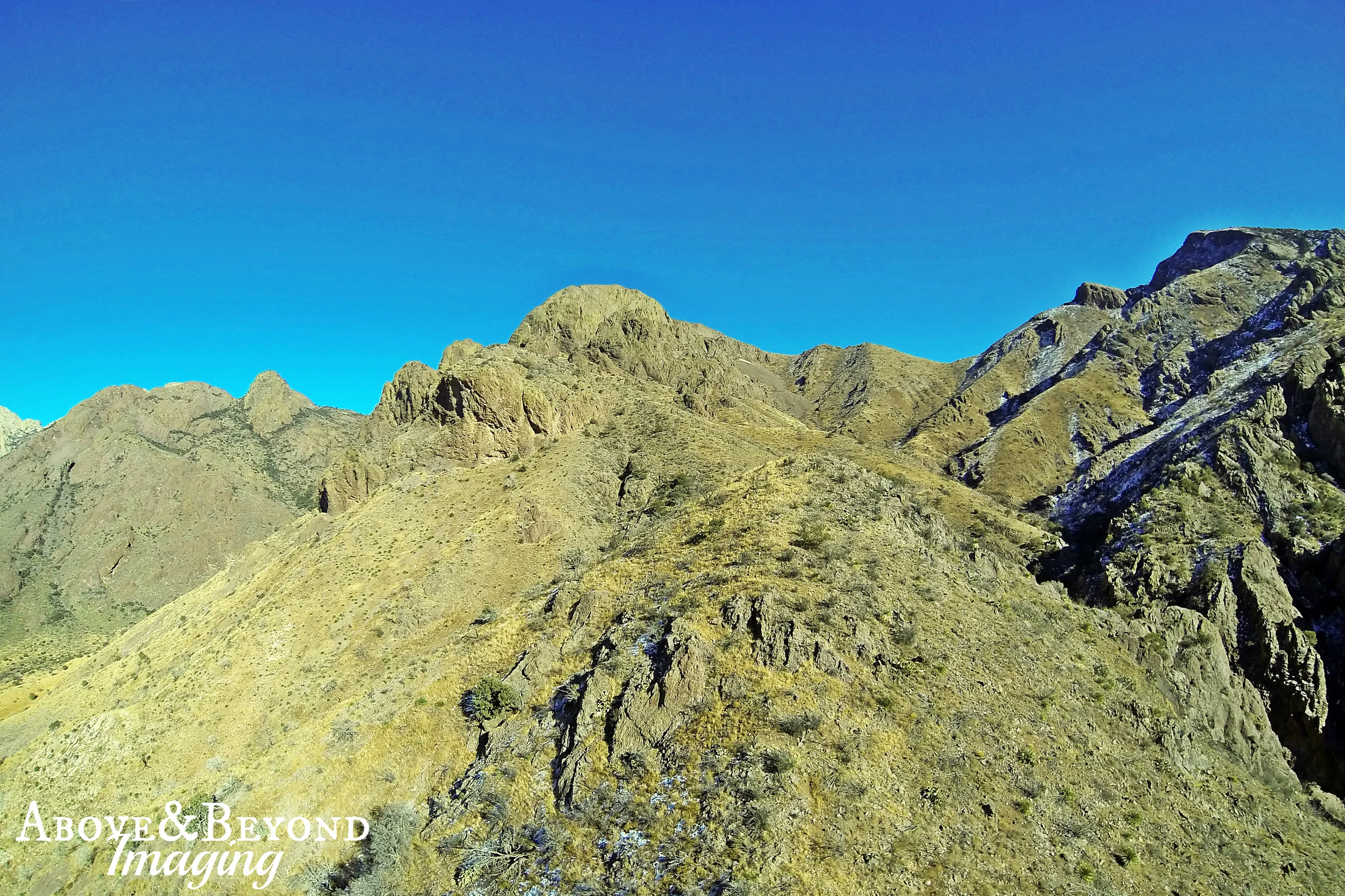 G0898723 edited with watermark.jpg