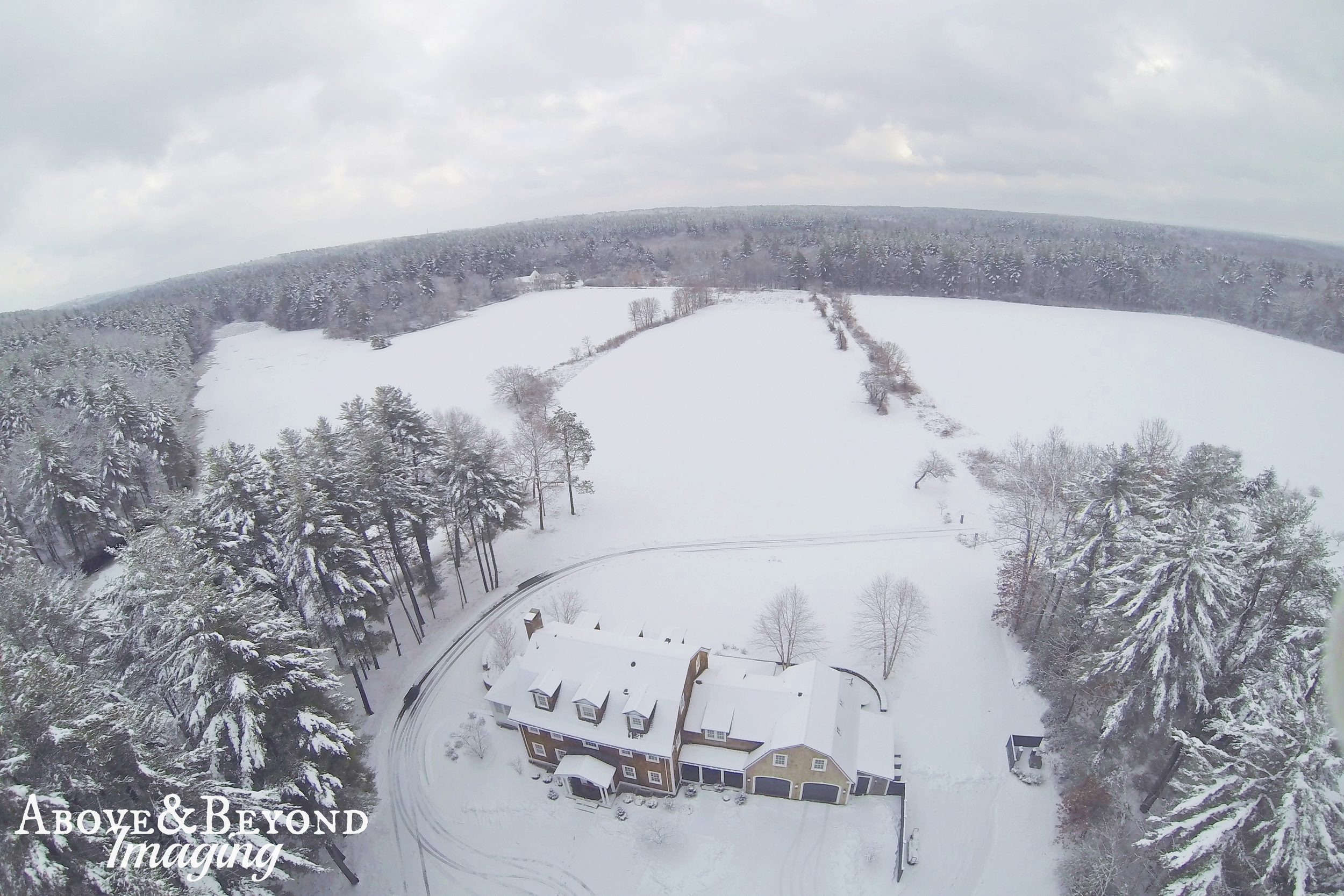 G1019343 with watermark.jpg