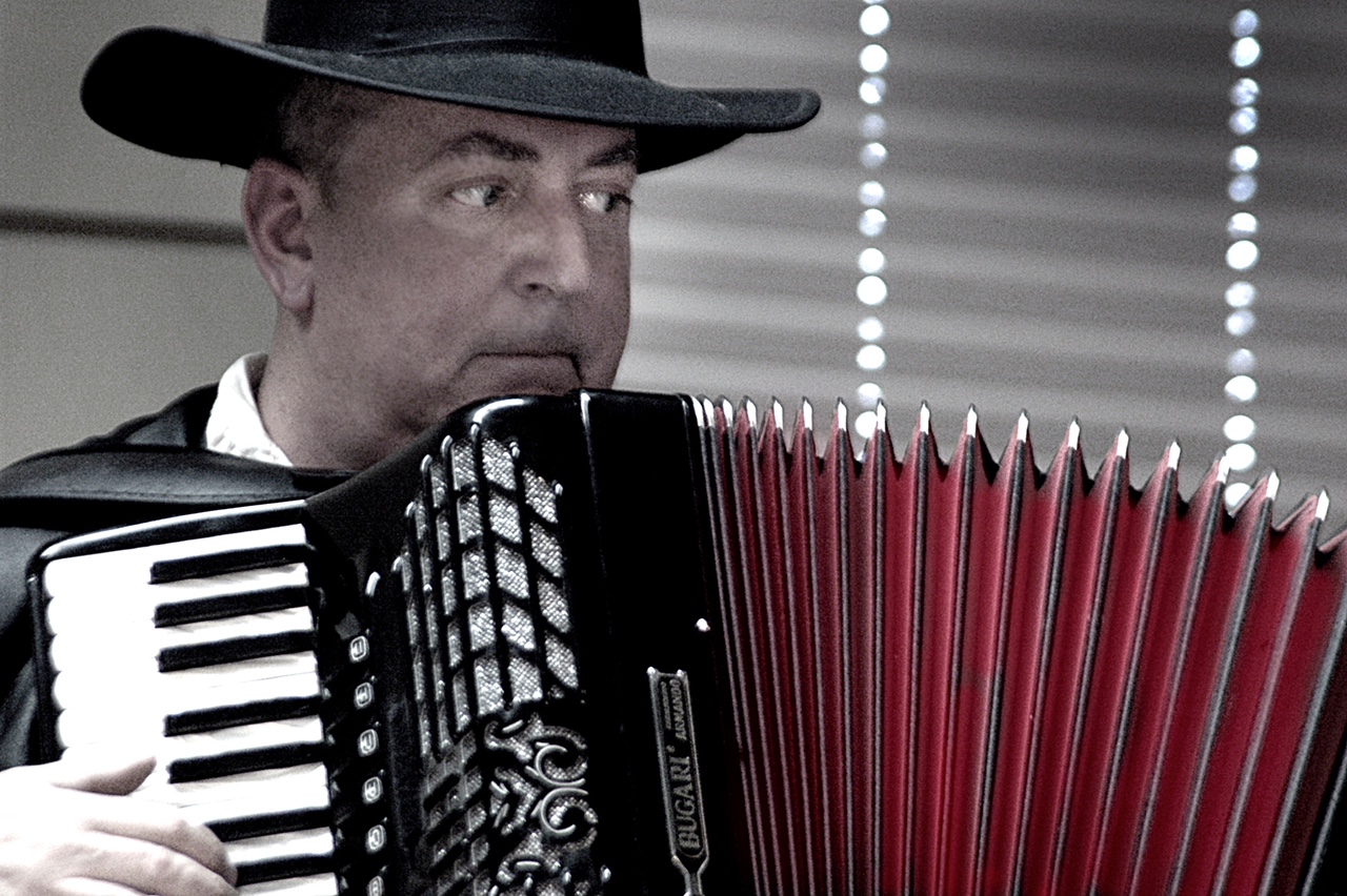 Chris Haynes on Accordion