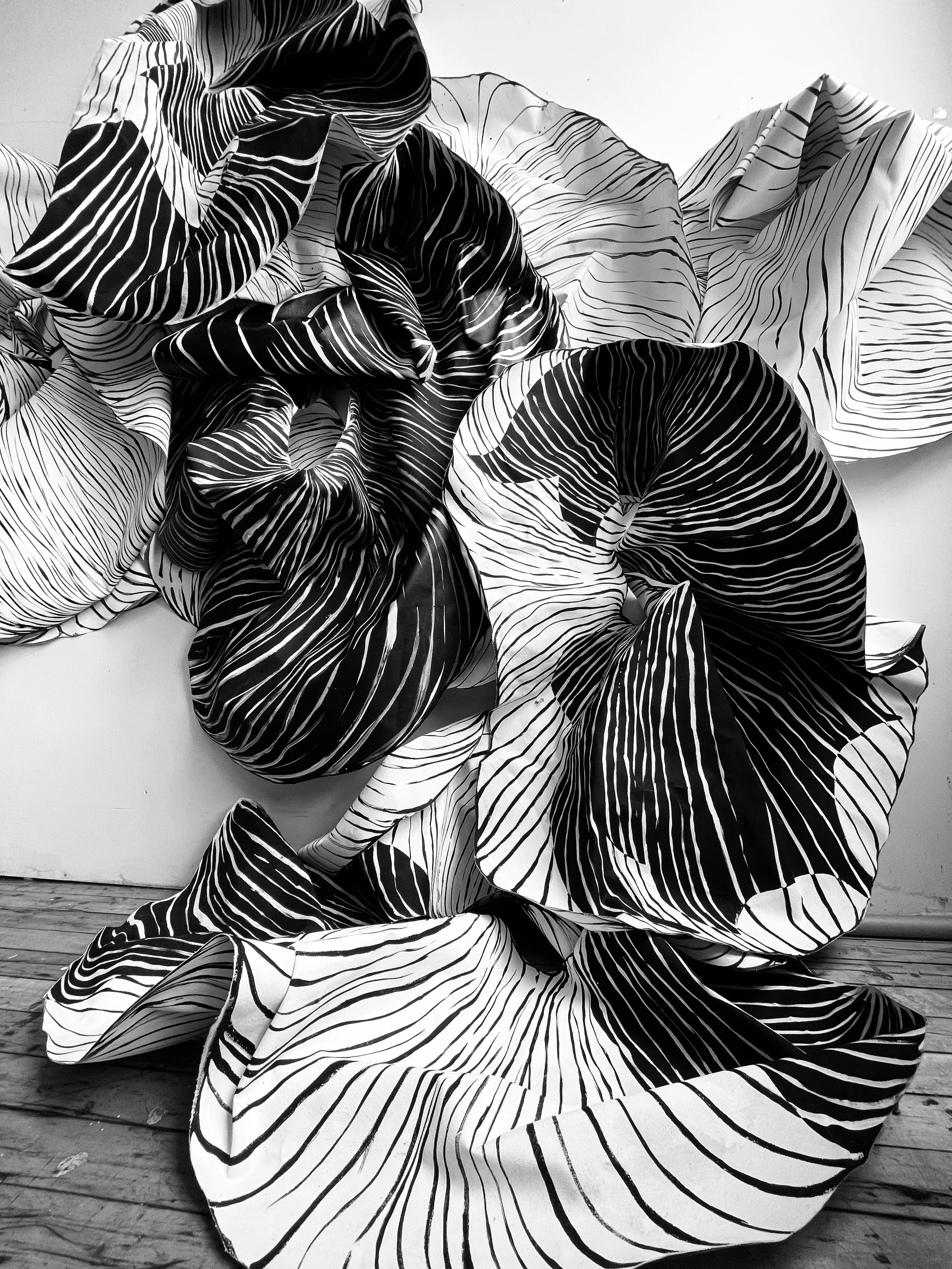 Maggie Nowinski | Sensus