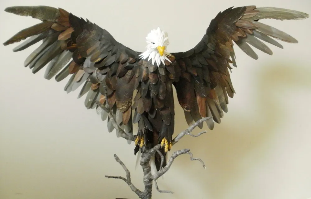 Belkin_Image Temporarily Untitled.png